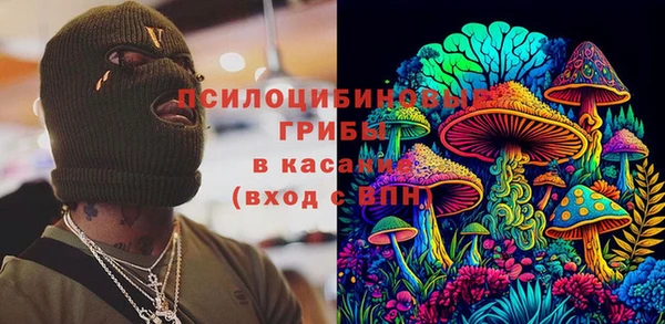 дмт Осташков