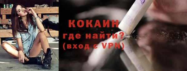 дмт Осташков