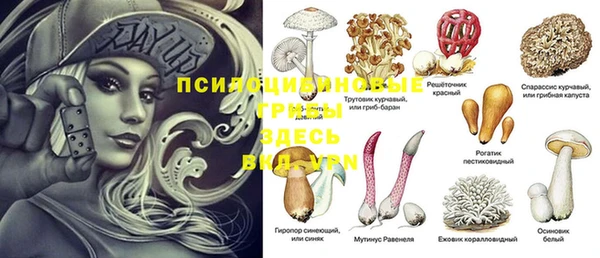 прущая мука Переславль-Залесский