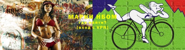 дмт Осташков