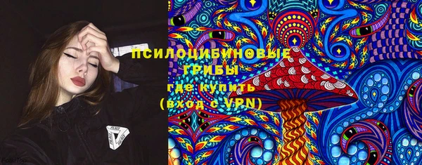 дмт Осташков
