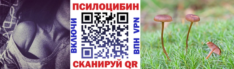 Псилоцибиновые грибы ЛСД Купить где Онега