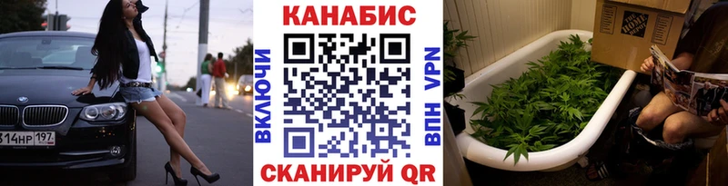 Купить закладки  Онега  Бошки марихуана конопля 
